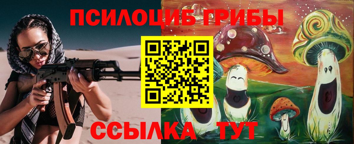 Галлюциногенные грибы Psilocybe Зима