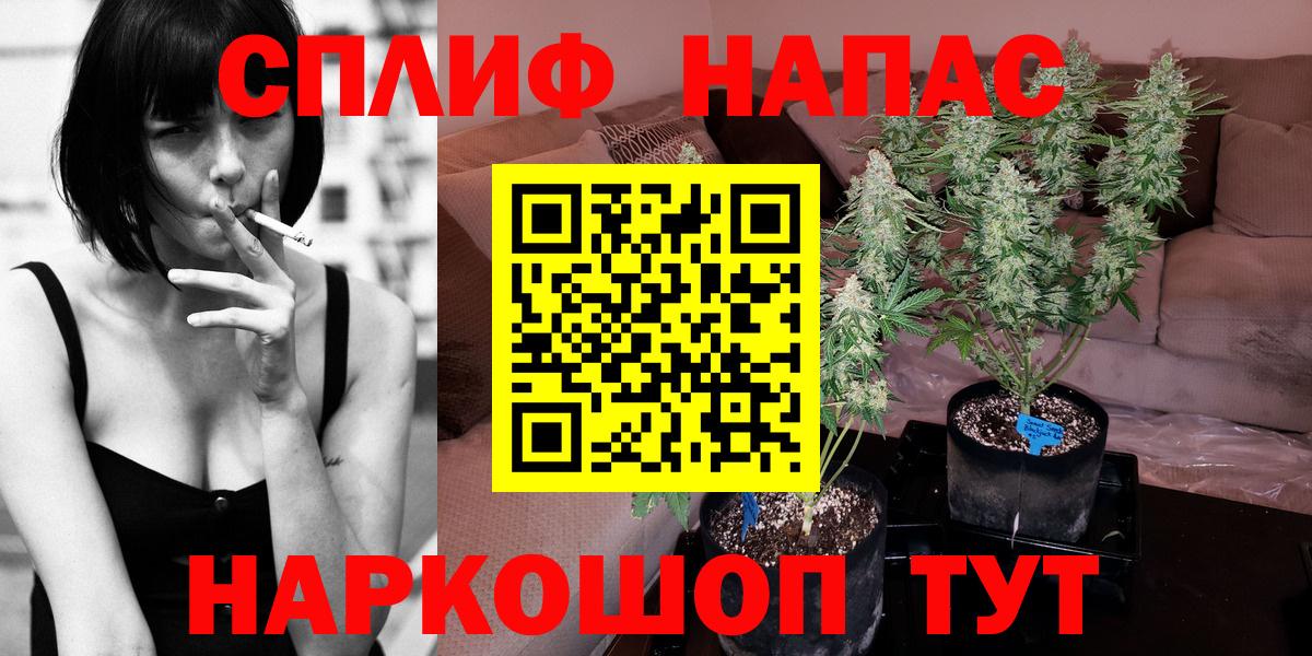 Канабис AK-47 Зима